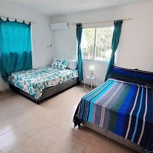 Habitación Pequeña con 2 Camas Individuales